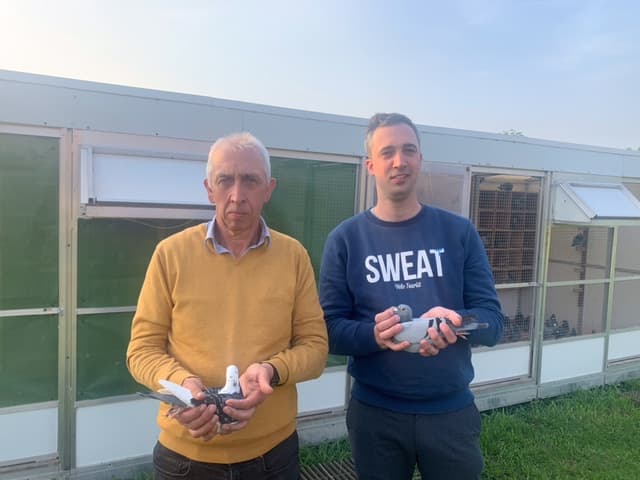 Bombeke Luc: Een Kweekhok met Wereldklasse in de Genen