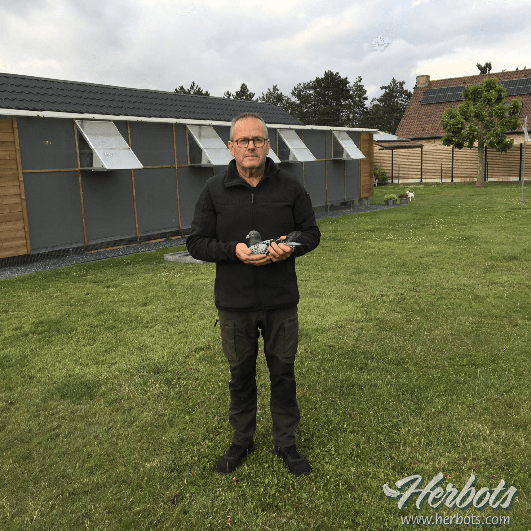 Christian Messiaen wint 1e Provinciaal Argenton bij jaarlingen in West-Vlaanderen tegen 2.014 duiven