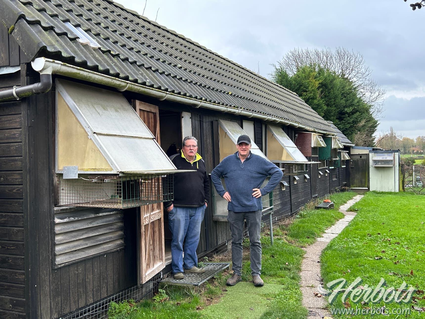“SUPER FRANKY” van Georges Herman-Van Dist, 1e Nationale Asduif Fond Frankrijk 2025