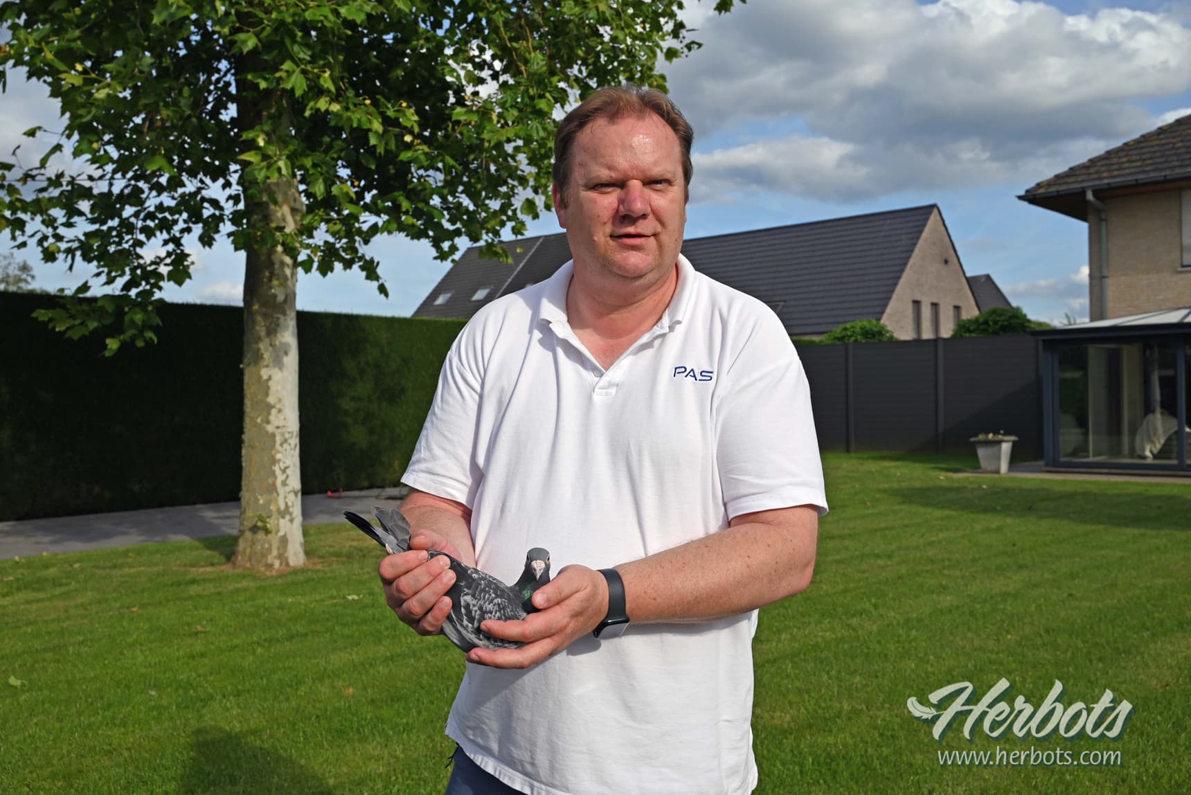 Team Baetens (St. Niklaas): 1st National Limoges 9,067 old birds