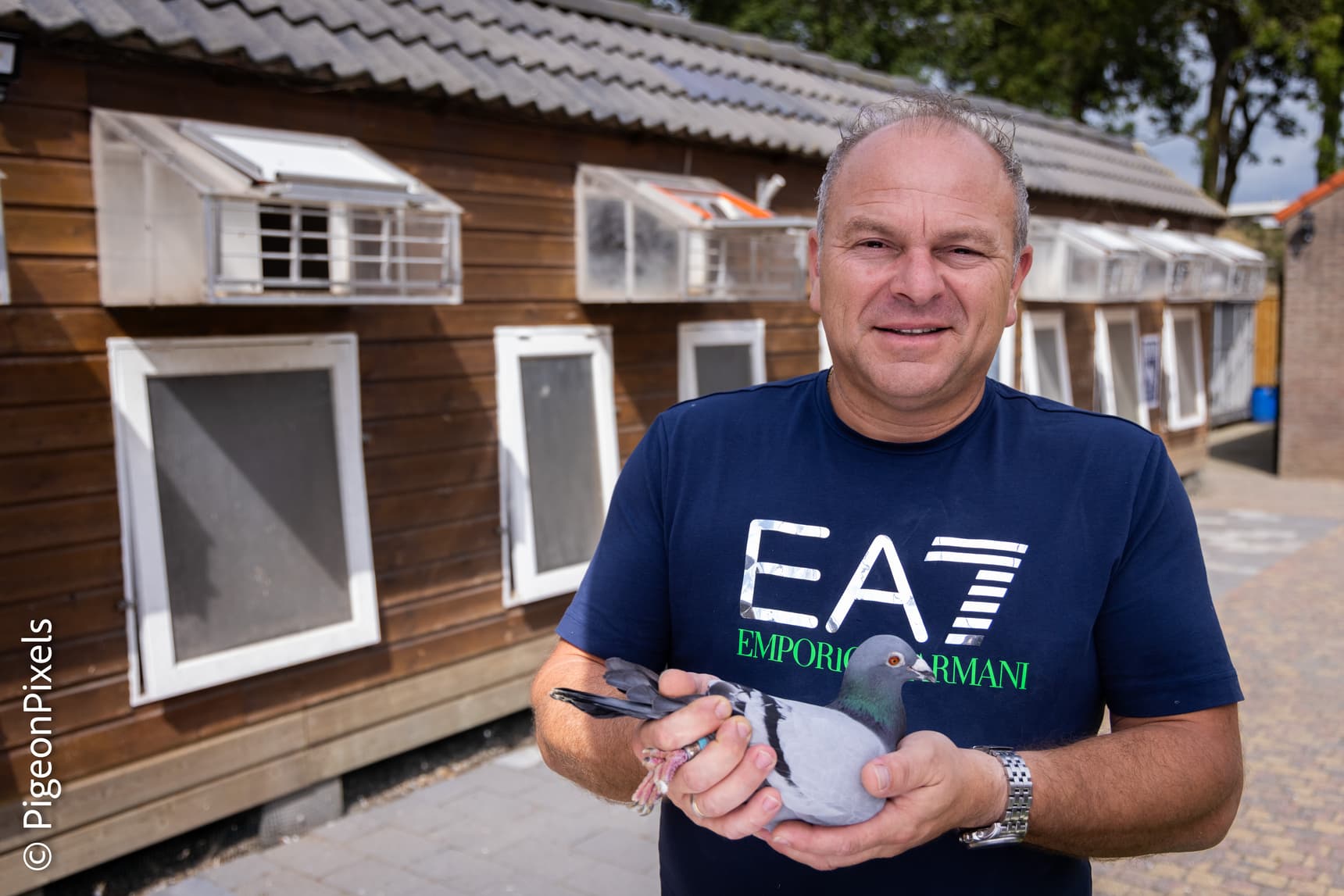 Pigeon Bids Danny de Voogd Deel 1