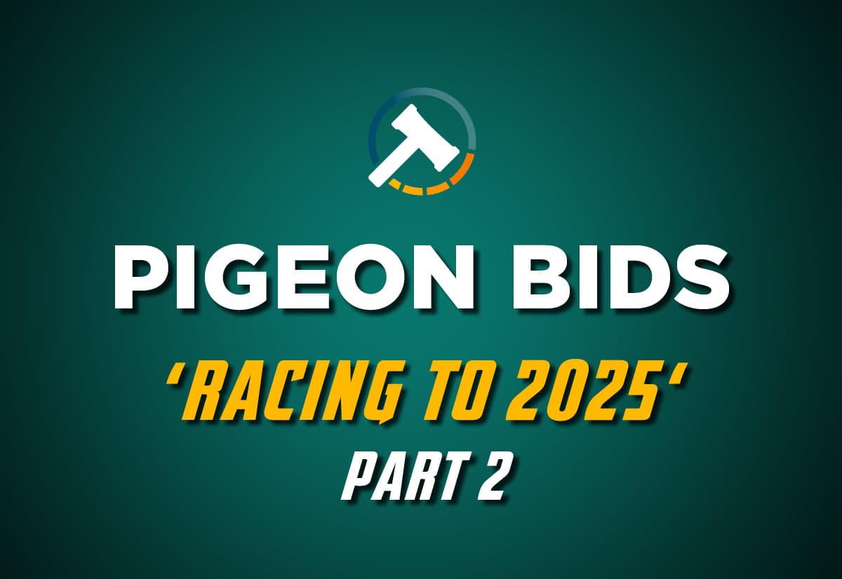 Pigeon Bids Racing to 2025 - Part 2