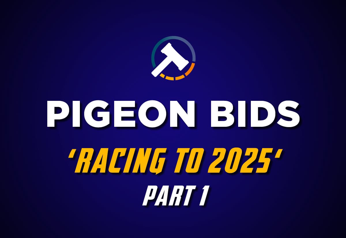 Pigeon Bids Racing to 2025 - Part 1