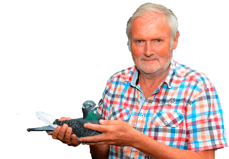 Pigeon Bids Brinkman Herman - January 2026