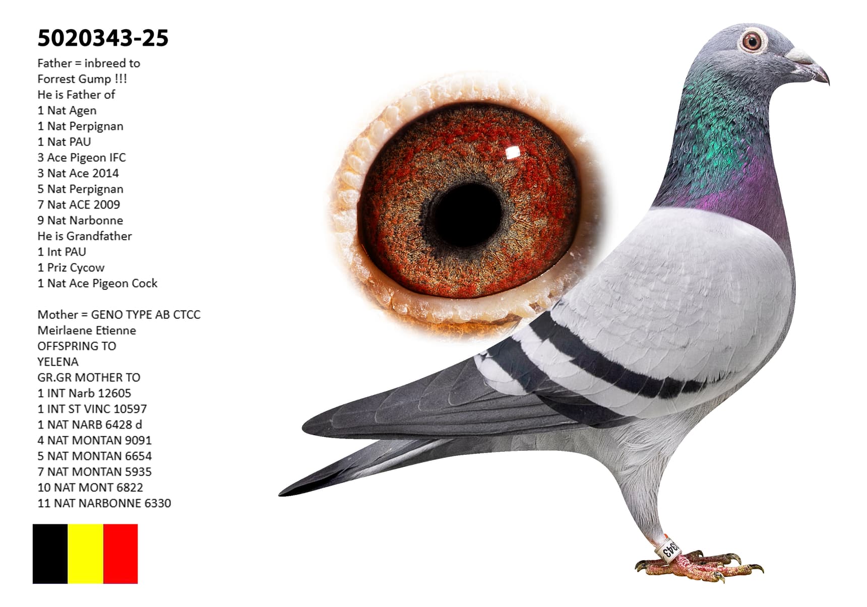 Forrest Gump x Meirlaen