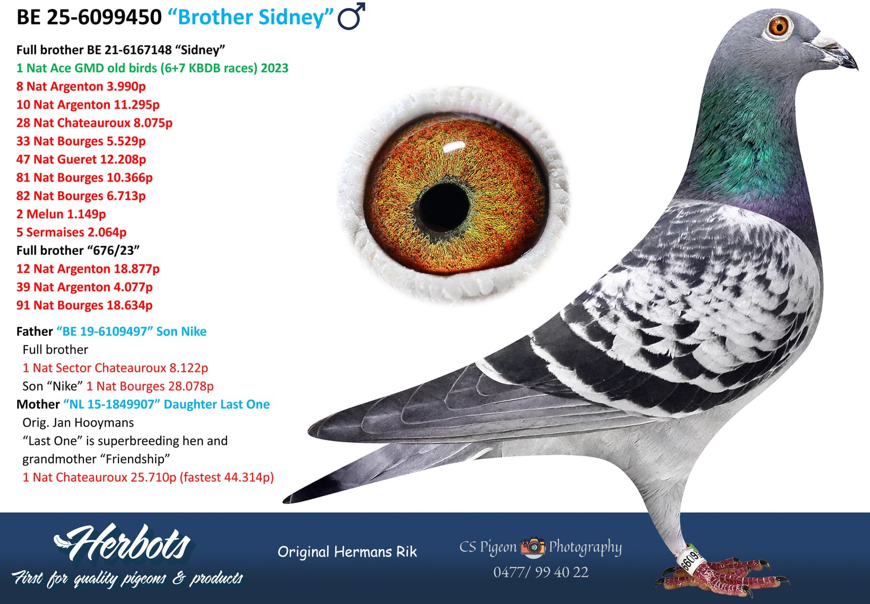 pigeon: undefined