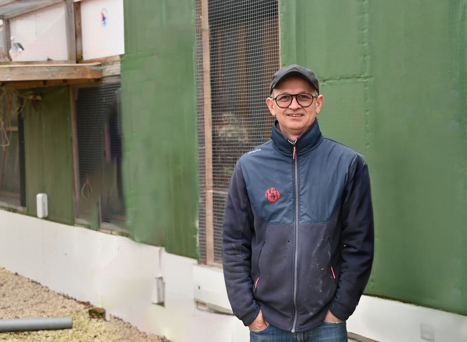 Pigeon Bids Nieuws: Kopprijzen winnen zit simpelweg in het DNA van de Cleirbaut duiven gebakken