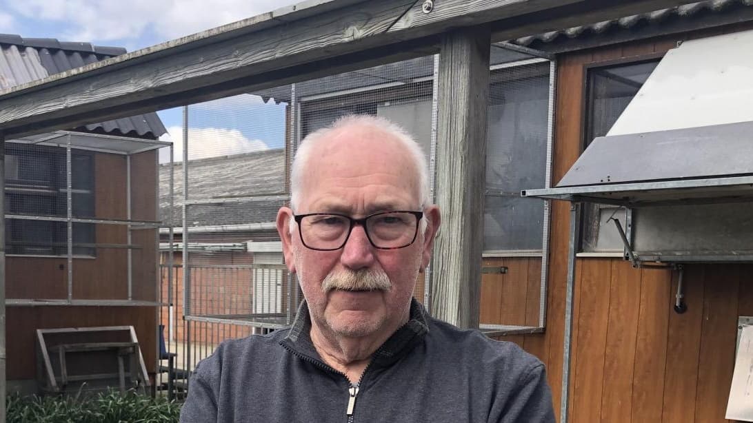 Pigeon Bids Rigo Lenaers