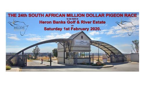 The 24th South African Million Dollar Pigeon Race 2020