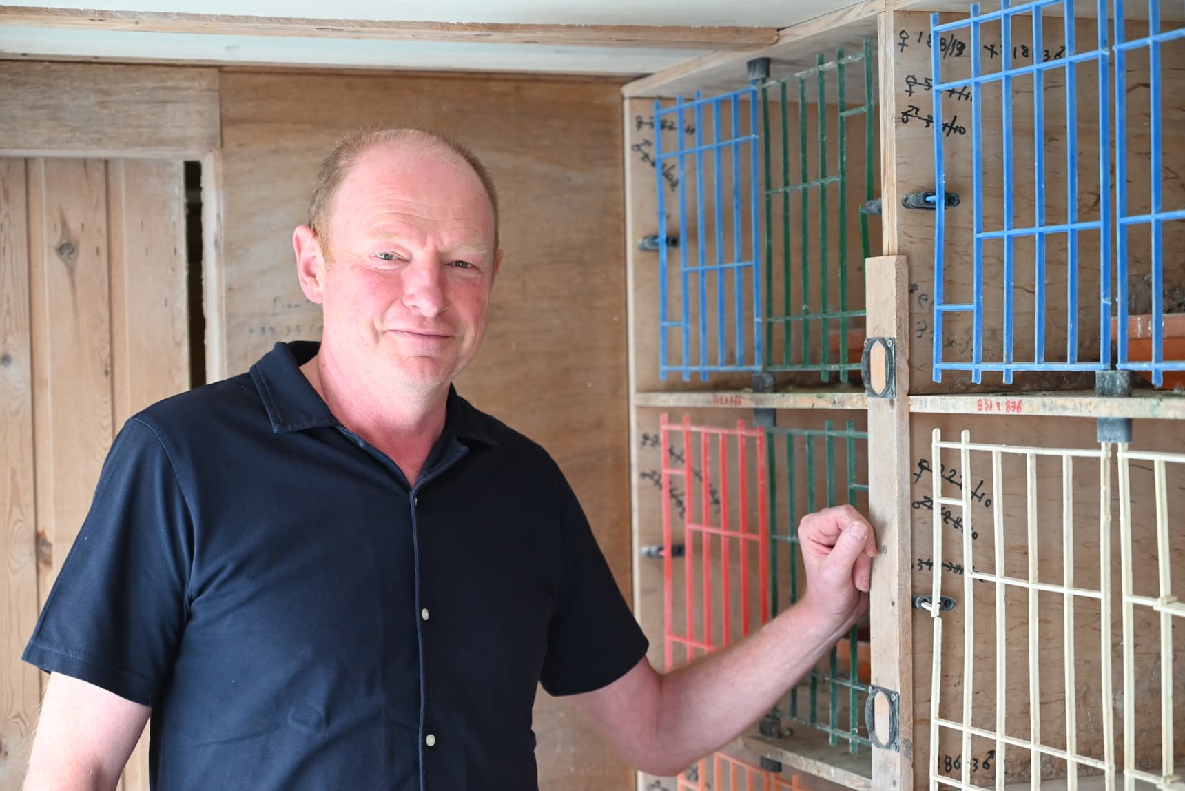 Rik Cools (Ruiselede) een ijzersterk kweekhok en dito referenties en resultaten !