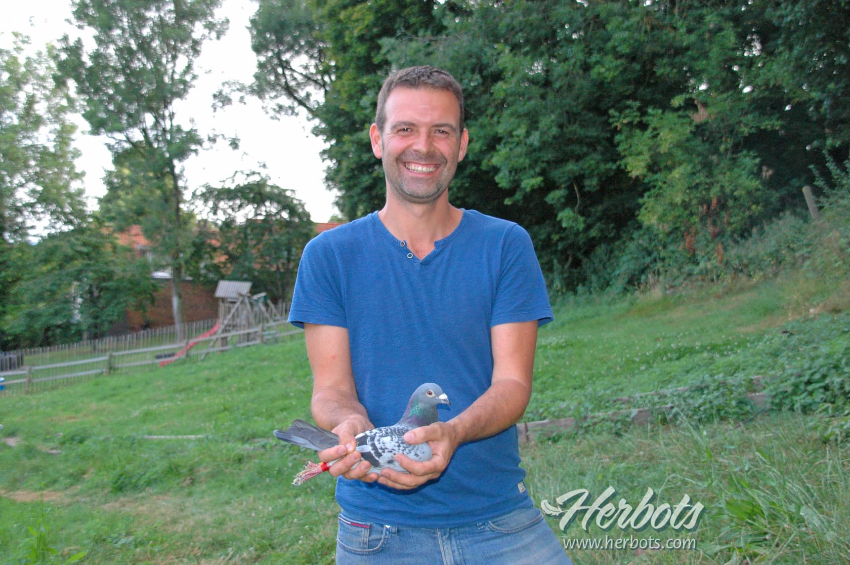 Youri Deblanc (Ronse) : één der beste dagfondhokken van België