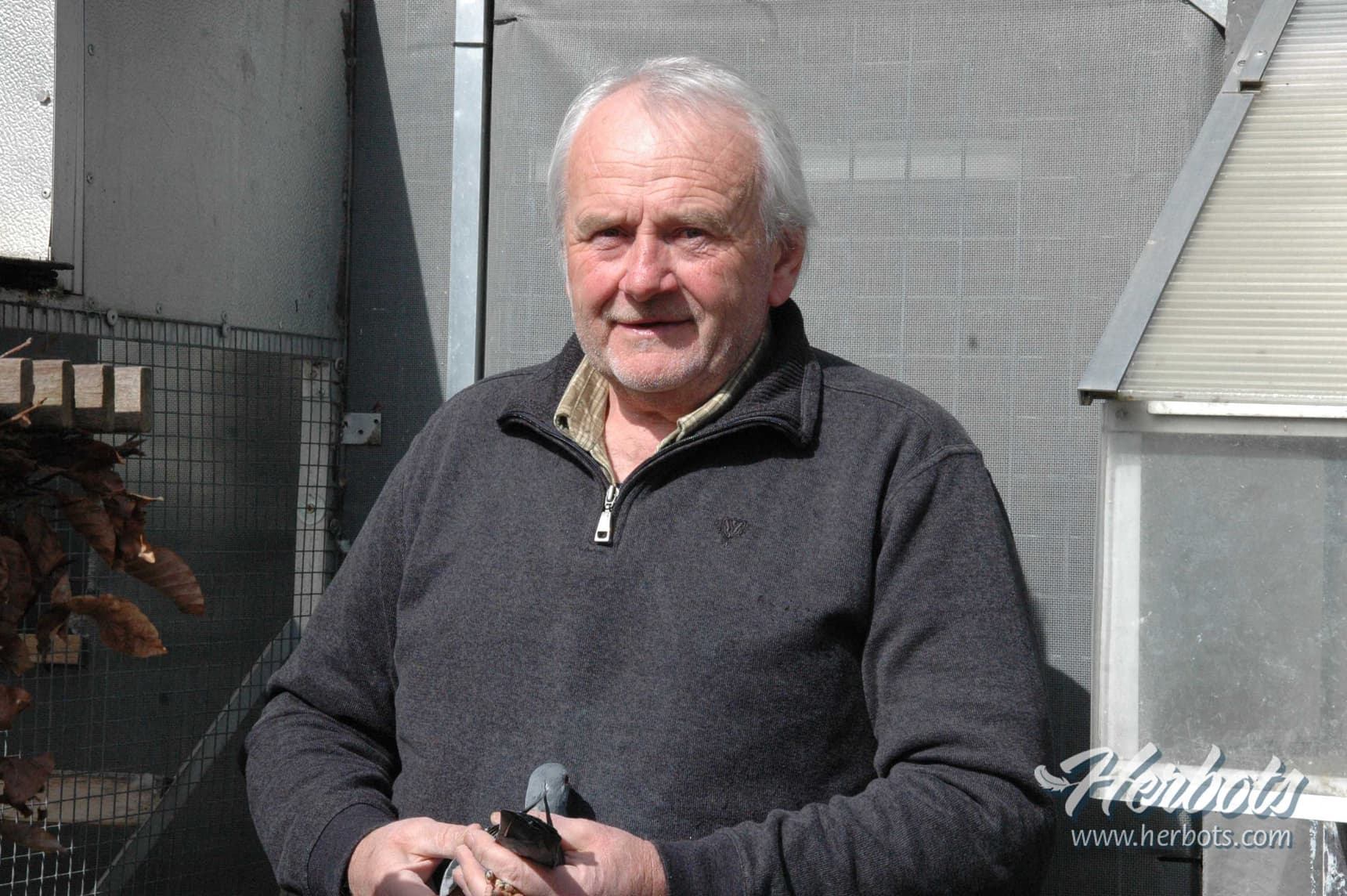 Dirk Dedobbeleer – Herne 1e Nationale asduif KBDB halve fond jaarse 2021