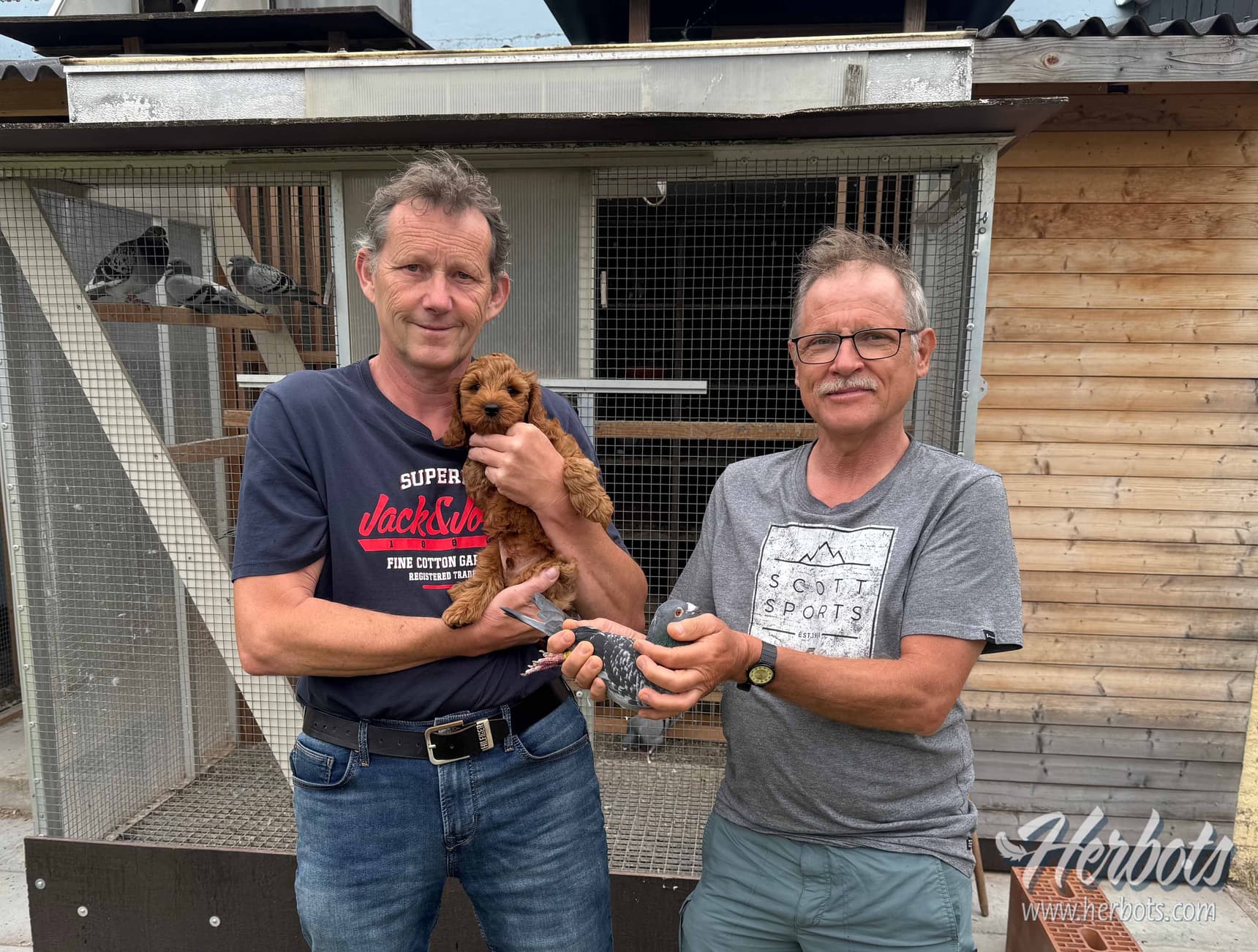 Hazaert Gerry (Neerijse) wint 1ste Provinciaal Narbonne met topduif “Maurice”