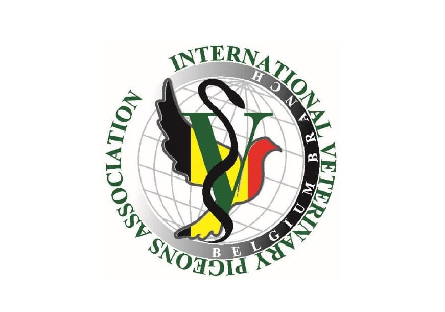 Pigeon vets from the whole world came together in Brussels