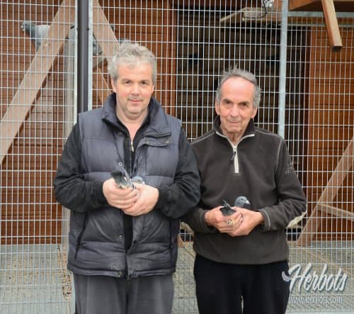 Gustaaf & Jan De Bisschop (Asse) : 1st National Ace Bird All-Round KBDB 2019