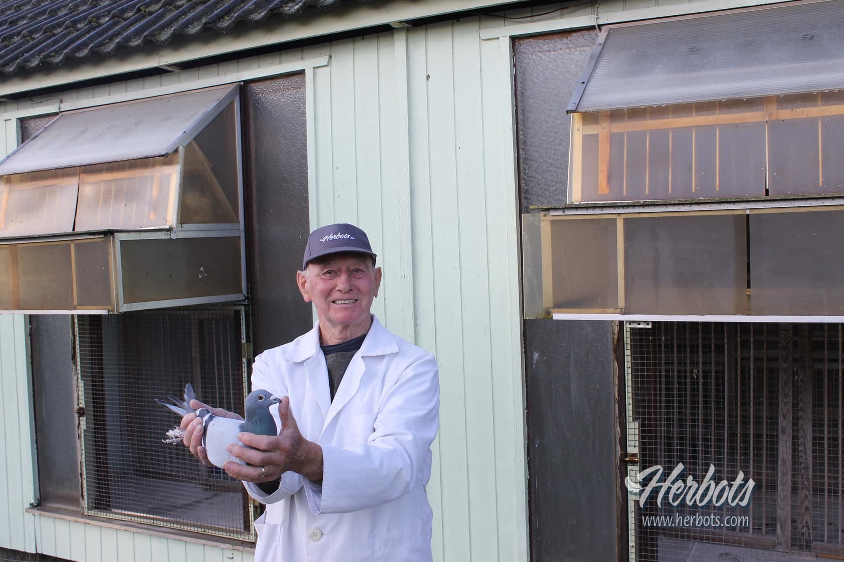 Marnix Leutenez (Kruisem) test in 2021 met groot succes duiven op nest