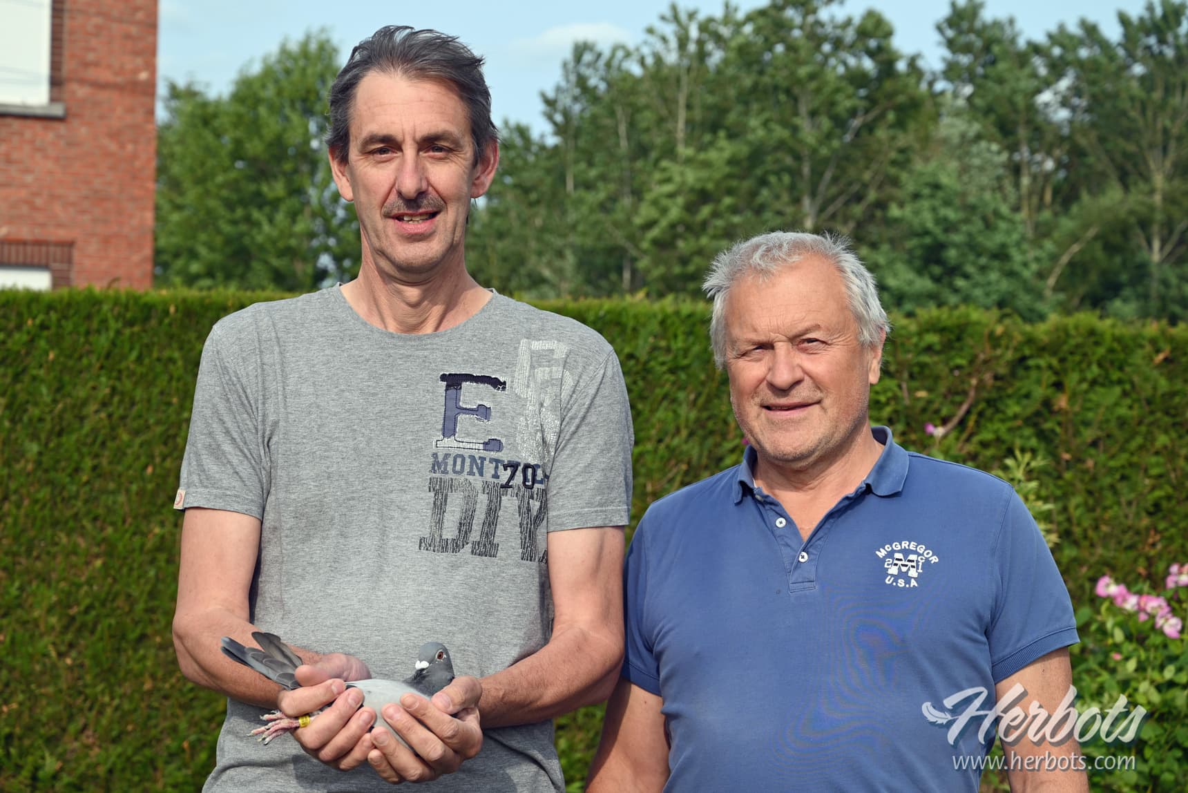 Michel Lossignol en Geert Vlayen 1e in Zone B4 op Bourges van 2.746 jaarduiven.