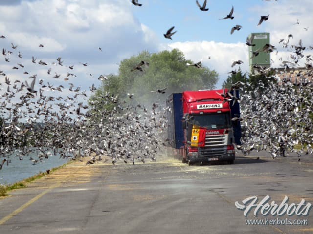 UPDATE - AVIS À L'ATTENTION DES SOCIETES ET DES AMATEURS – Organisation d’entrainements et de concours