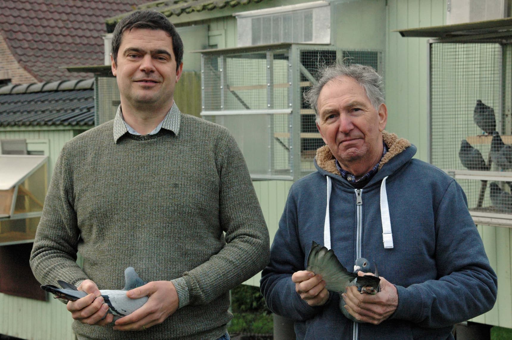 Nechelput-Cornet - Kester: 4° CHAMPION NATIONAL RFCB VIEUX ET YEARLING !