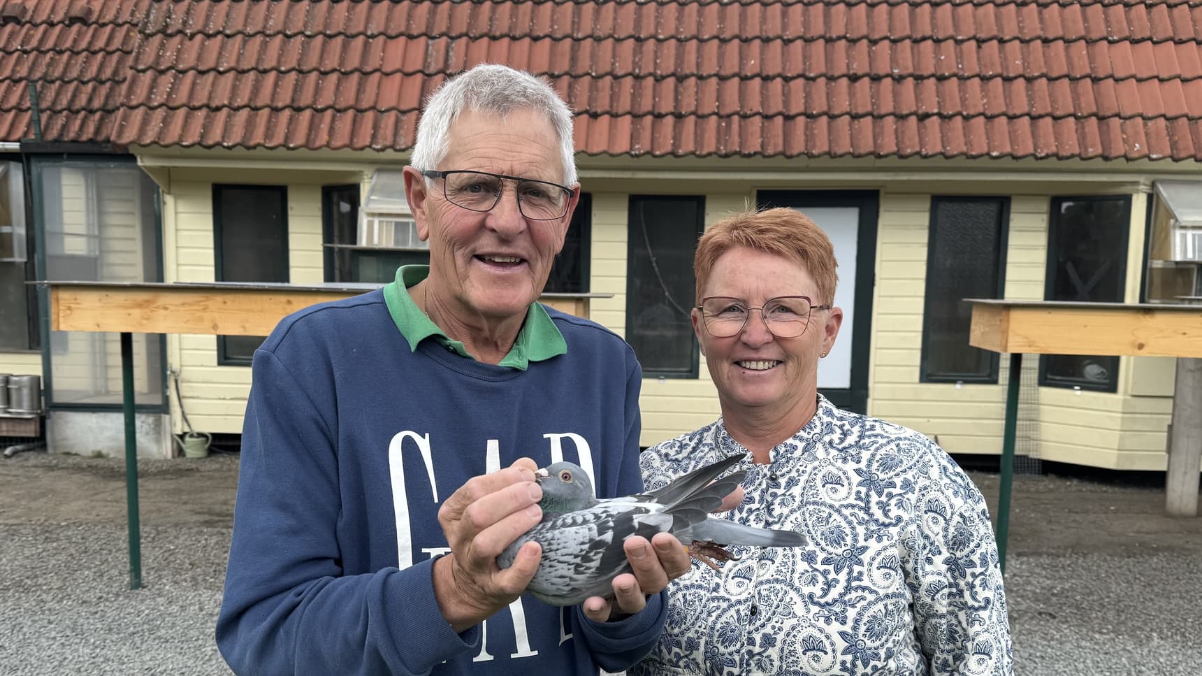 Pigeon Bids Van Elsacker-Jepsen 2026