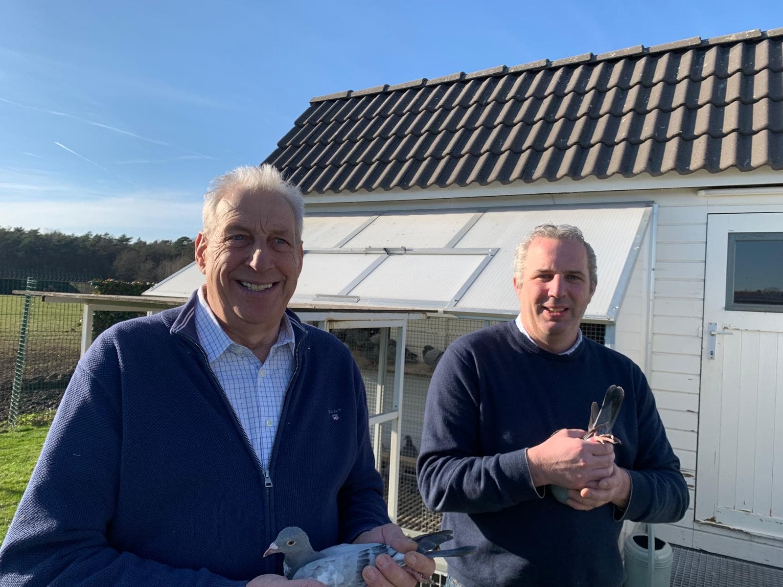 Pigeon Bids Theo Weytjens