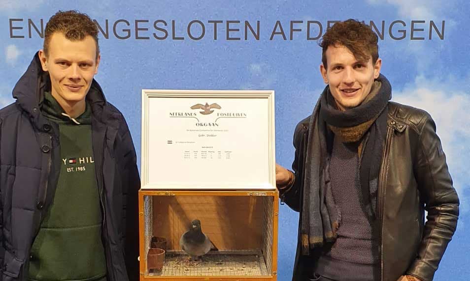 Dekker brothers : 1st General Champion Zeeland 2024