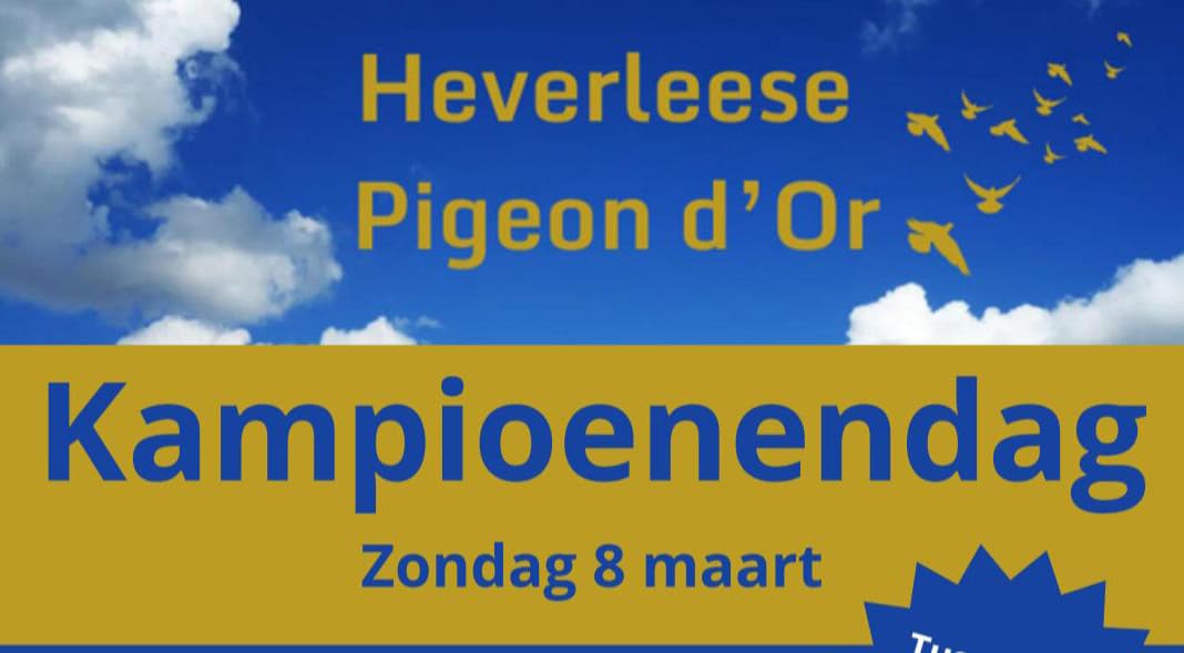 Kampioendag Heverlee Pigeon d'or Bertem