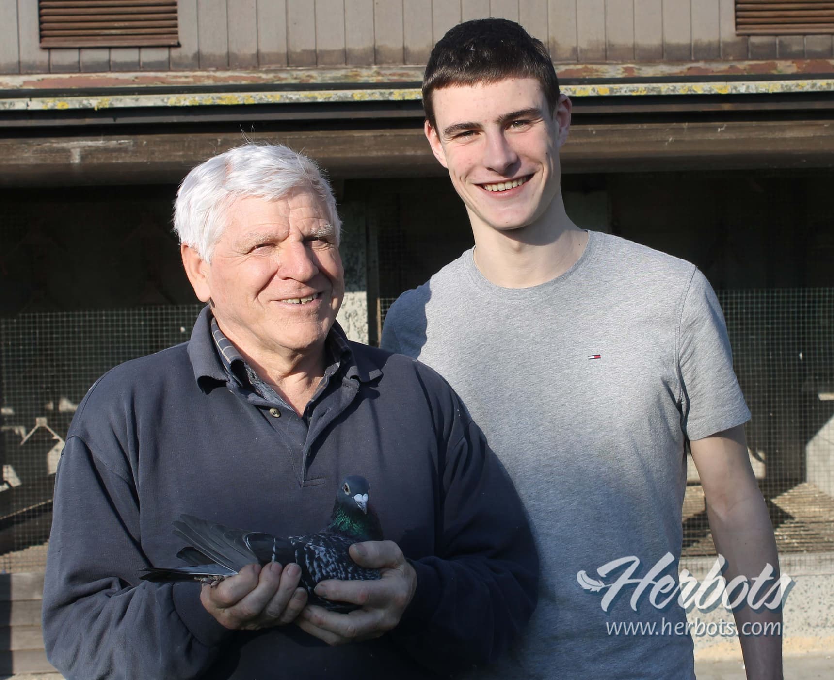 Noël De Clercq (Mater-Oudenaarde) bezit met Olympic 005 1e Olympiade België fond en 2e asduif zware fond K.B.D.B.