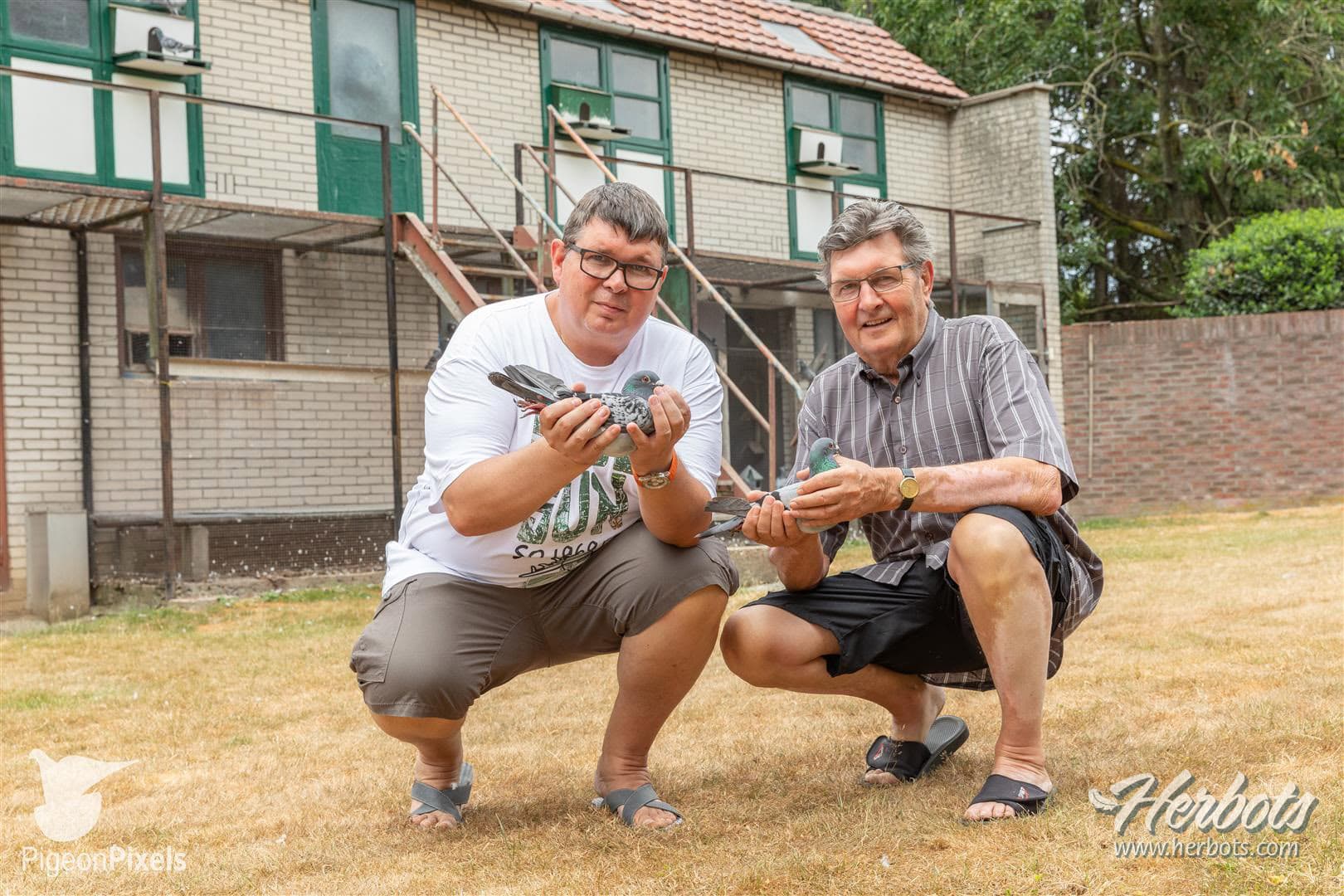 Pigeon Bids Bert & Roger Martens