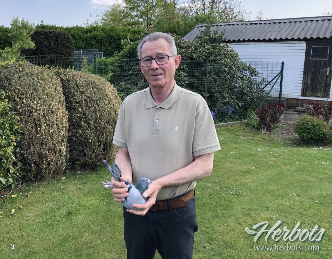 Jan Mees uit Heverlee: een kolonie van uitzonderlijke klasse