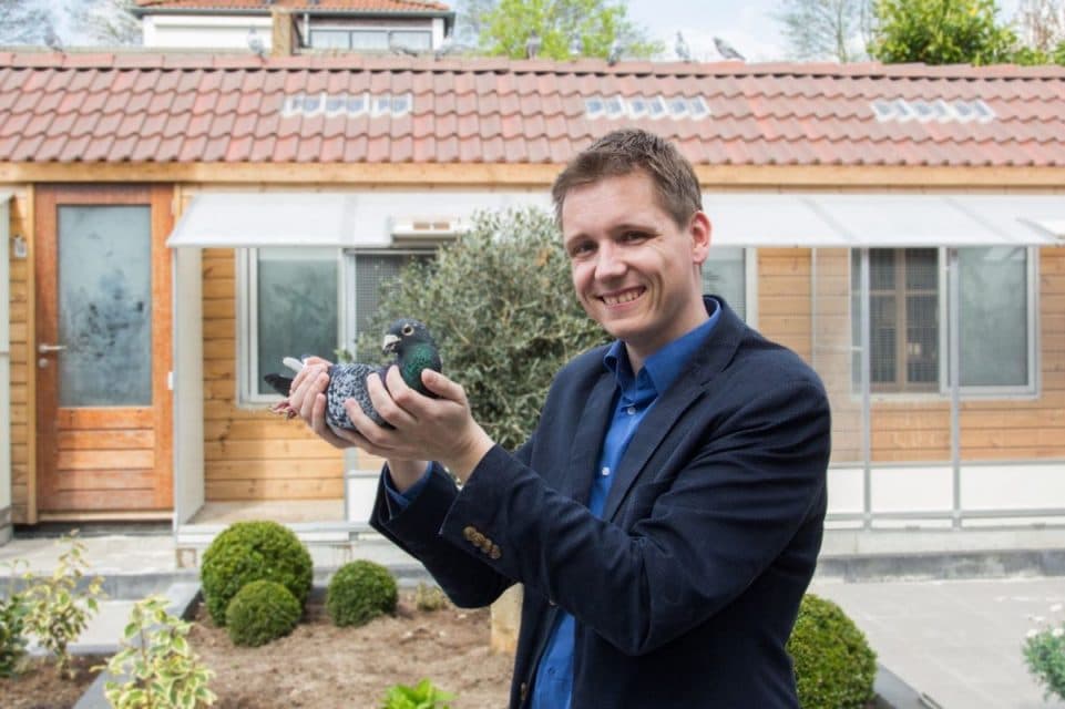 De pure klasse van de Franks Zwiers marathon duiven