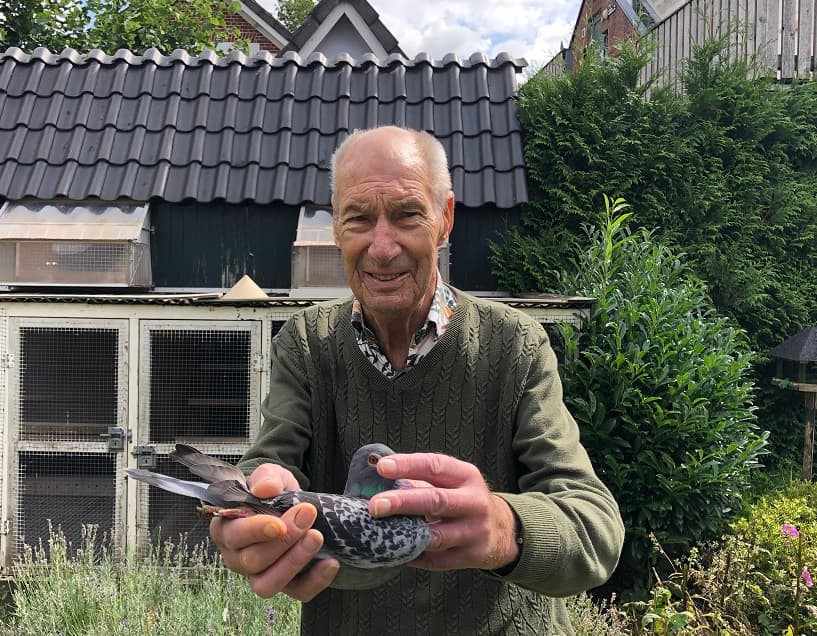 Ben Hendriks (Apeldoorn – NL) The basic Van Wanroy loft