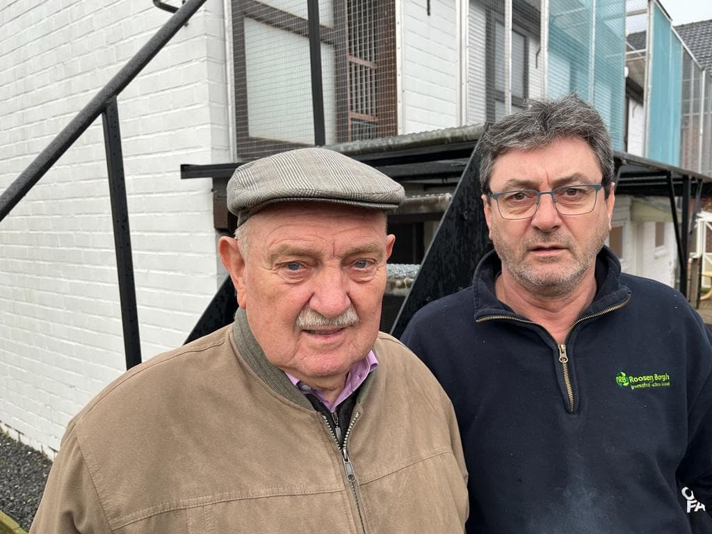 Pigeon Bids Streel Freddy & Edmond