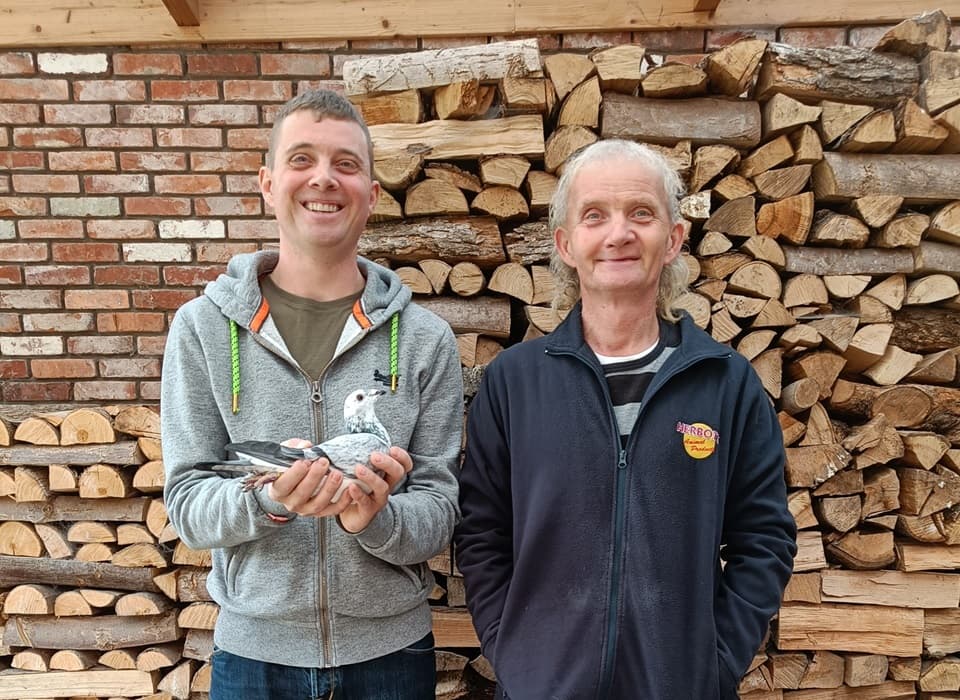 Pigeon Bids Vrancken – Berden