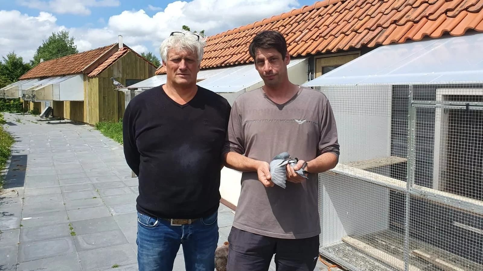 De Tom van Gaver Special Edition van Ype Hemstra