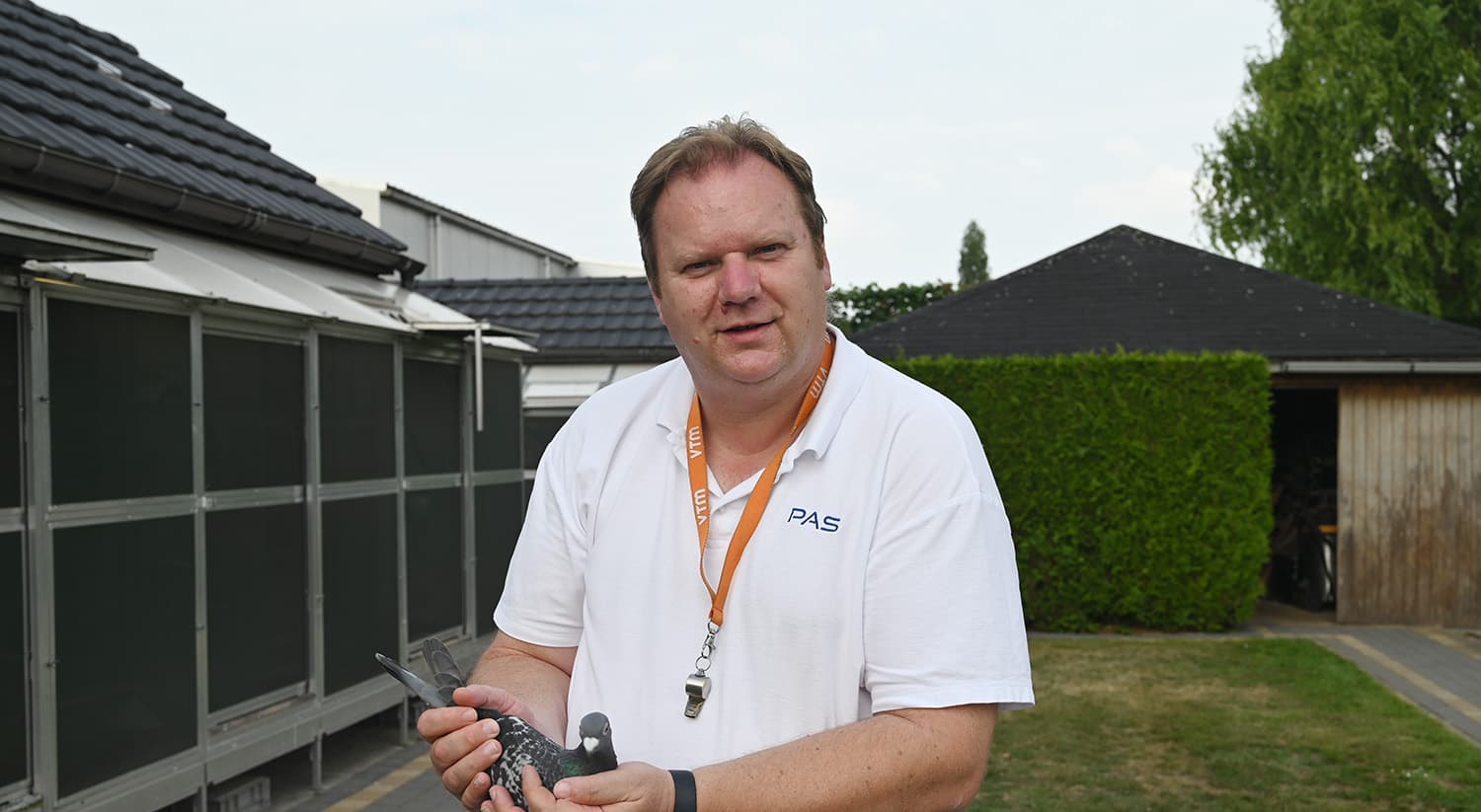 Pigeon Bids Team Baetens - February 2026