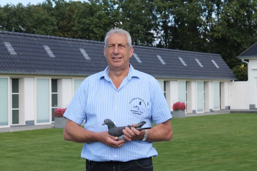 Auction pigeon bids Weytjens Theo