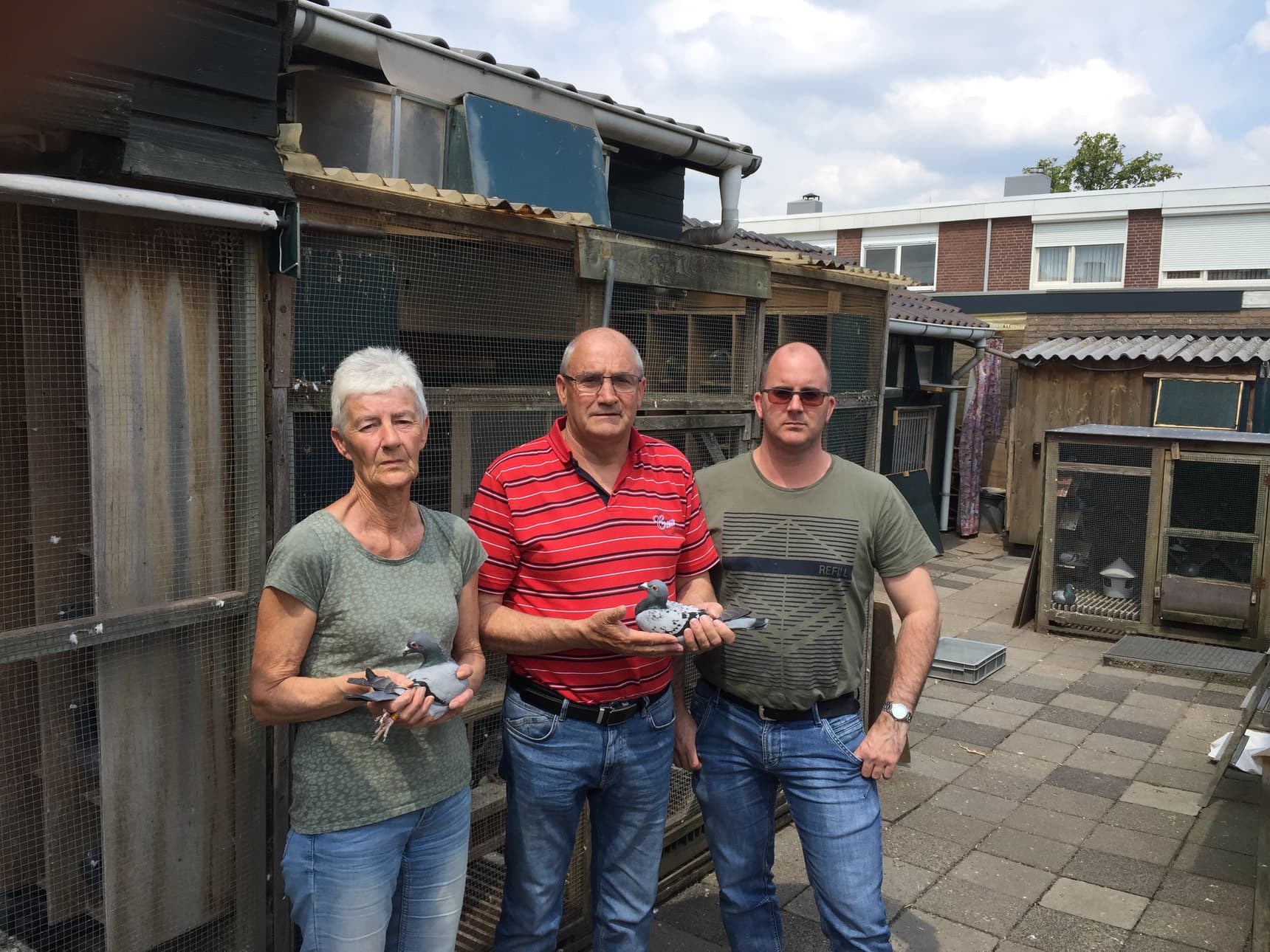 史塔伯父子网络限时拍卖会 - 第二部分