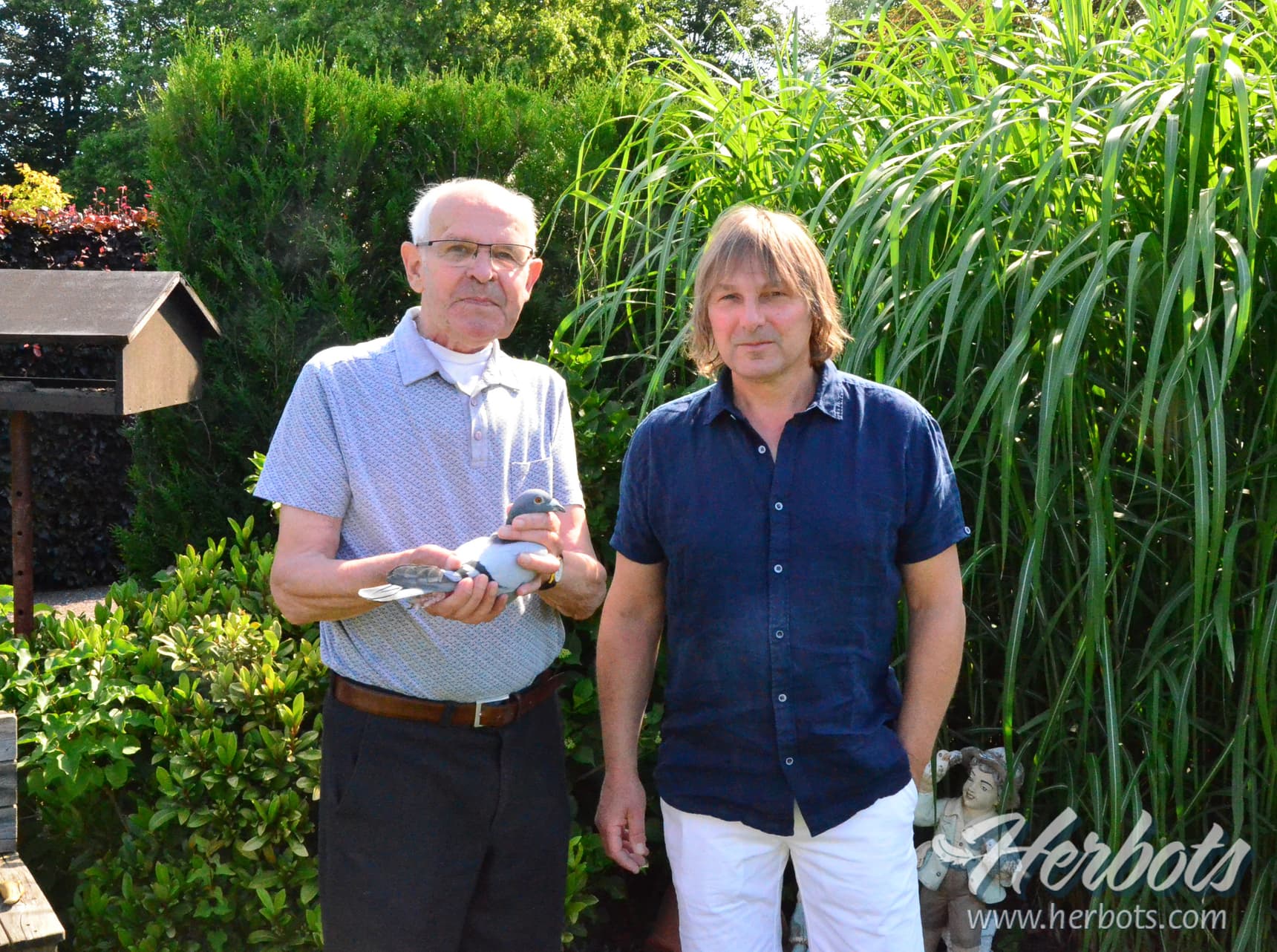 Nouwen – Paesen from Peer continues to build his top colony