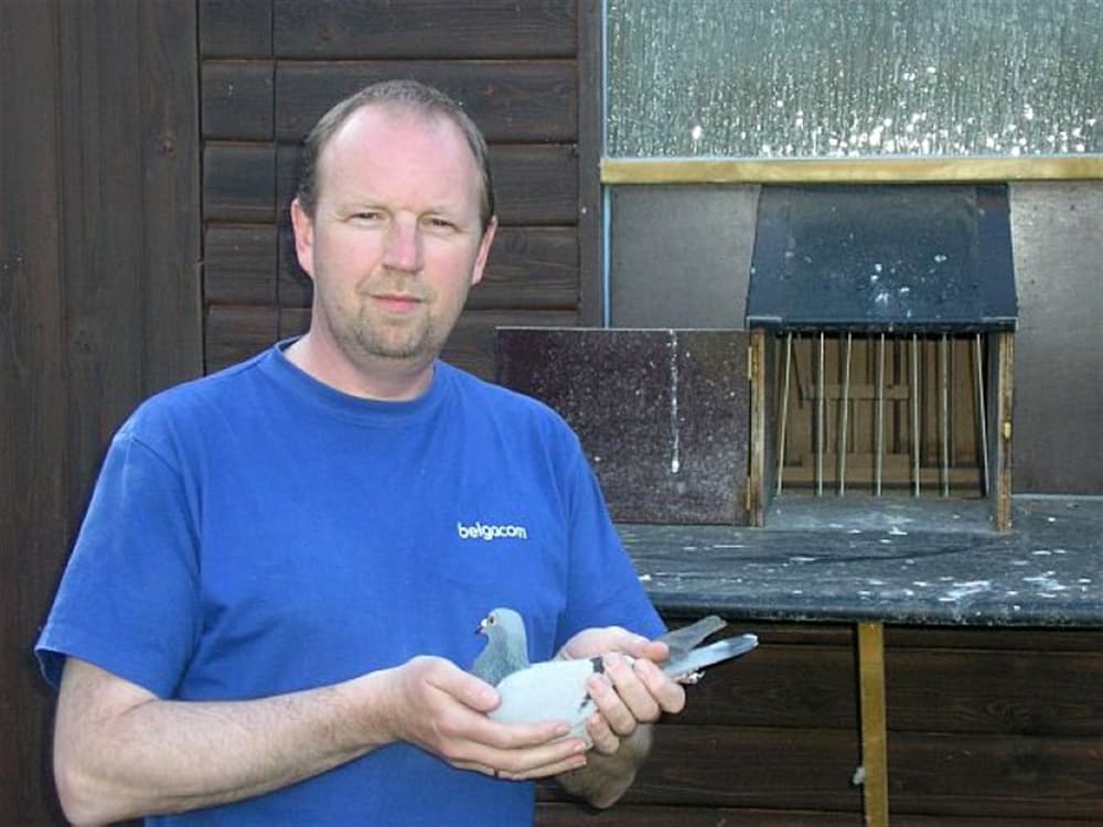 Pigeon Bids Johan De Belser Part I