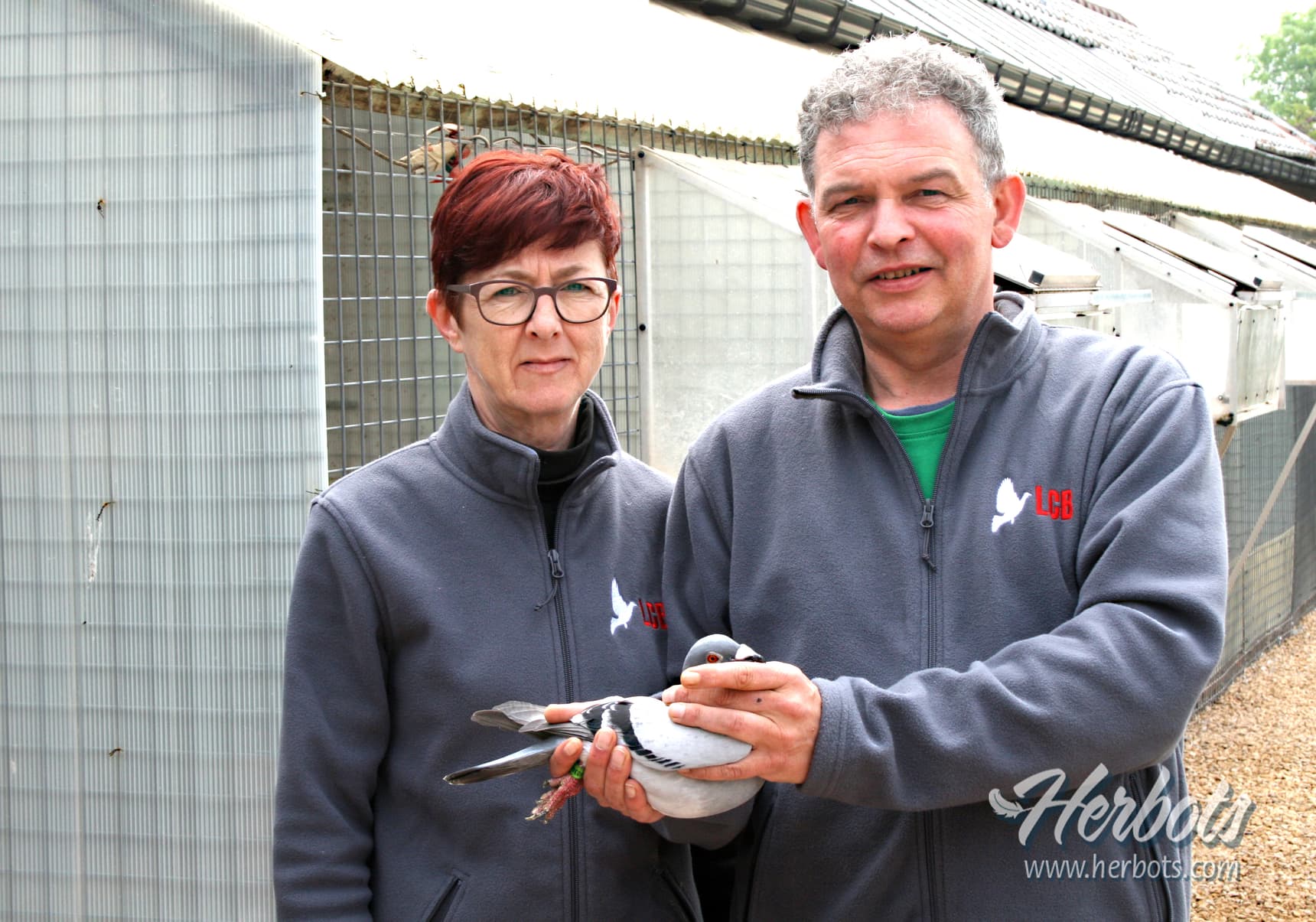 苏林克斯-普莱特斯