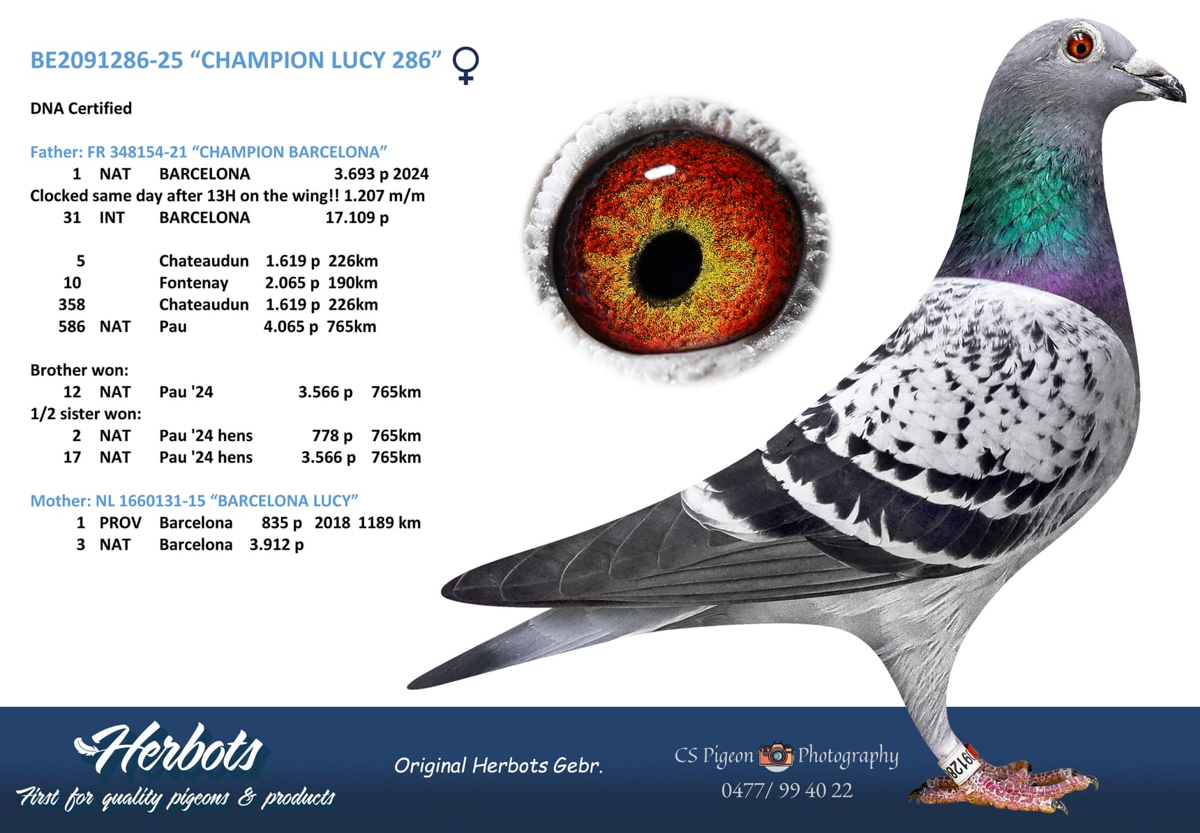 “CHAMPION LUCY 286”