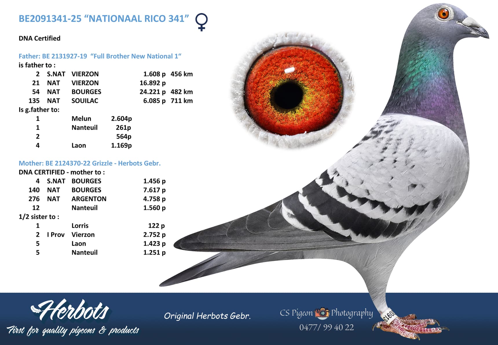 “NATIONAAL RICO 341”