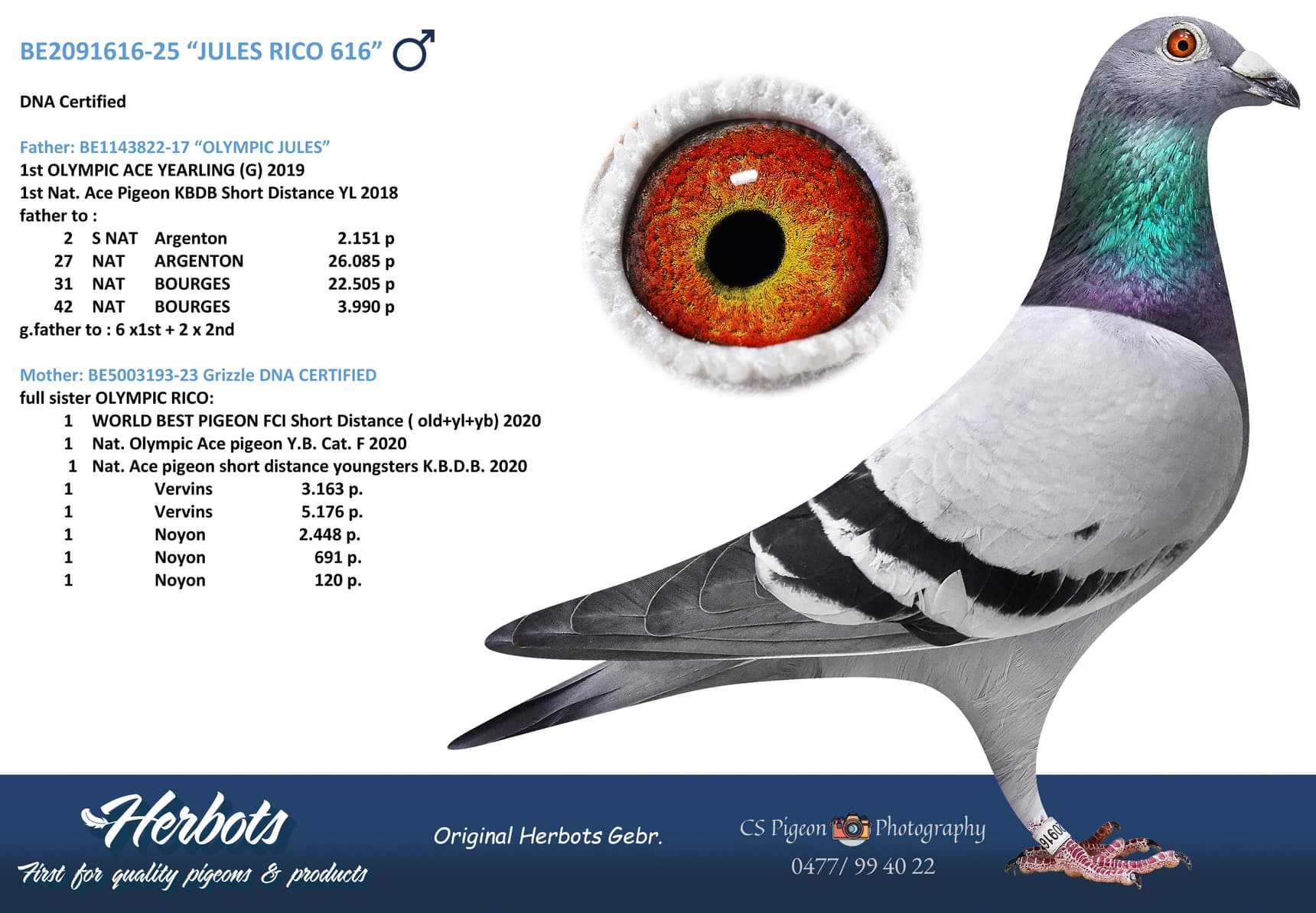 “JULES RICO 616”