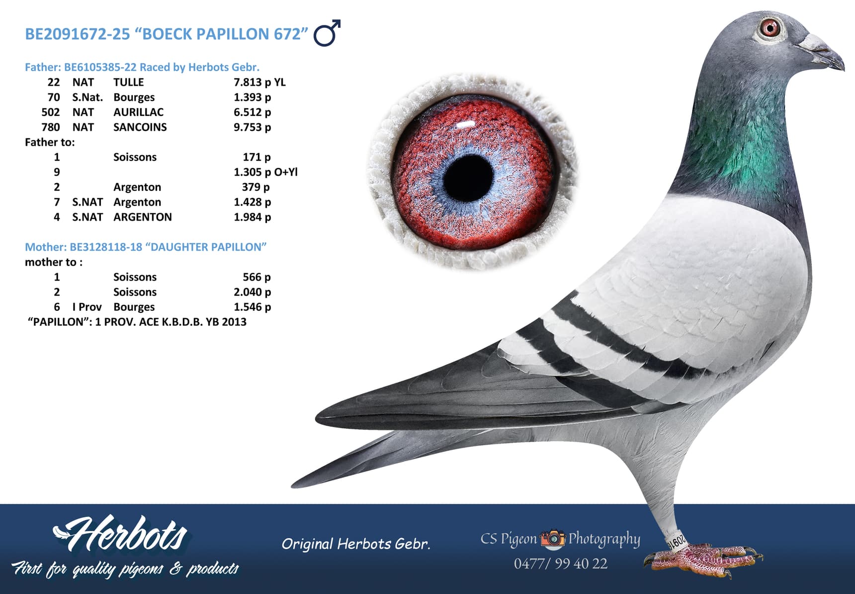 “BOECK PAPILLON 672”