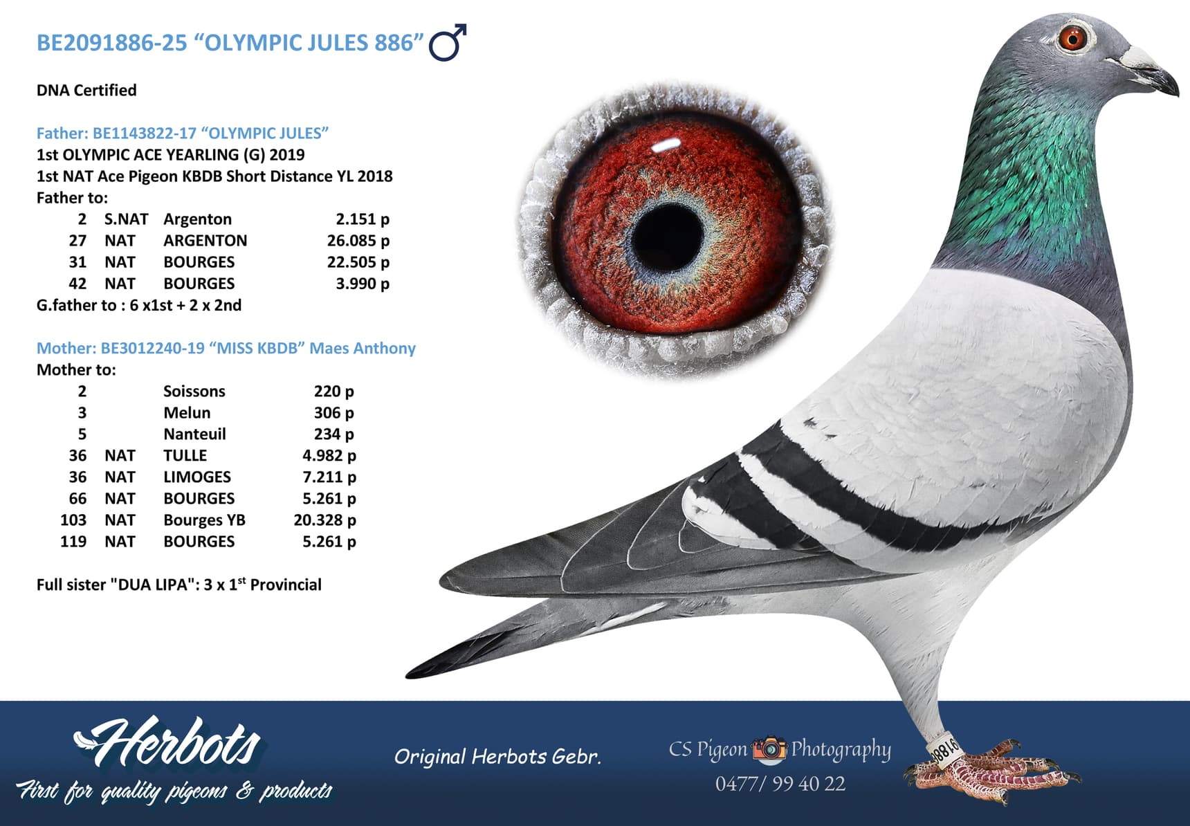 “OLYMPIC JULES 886”