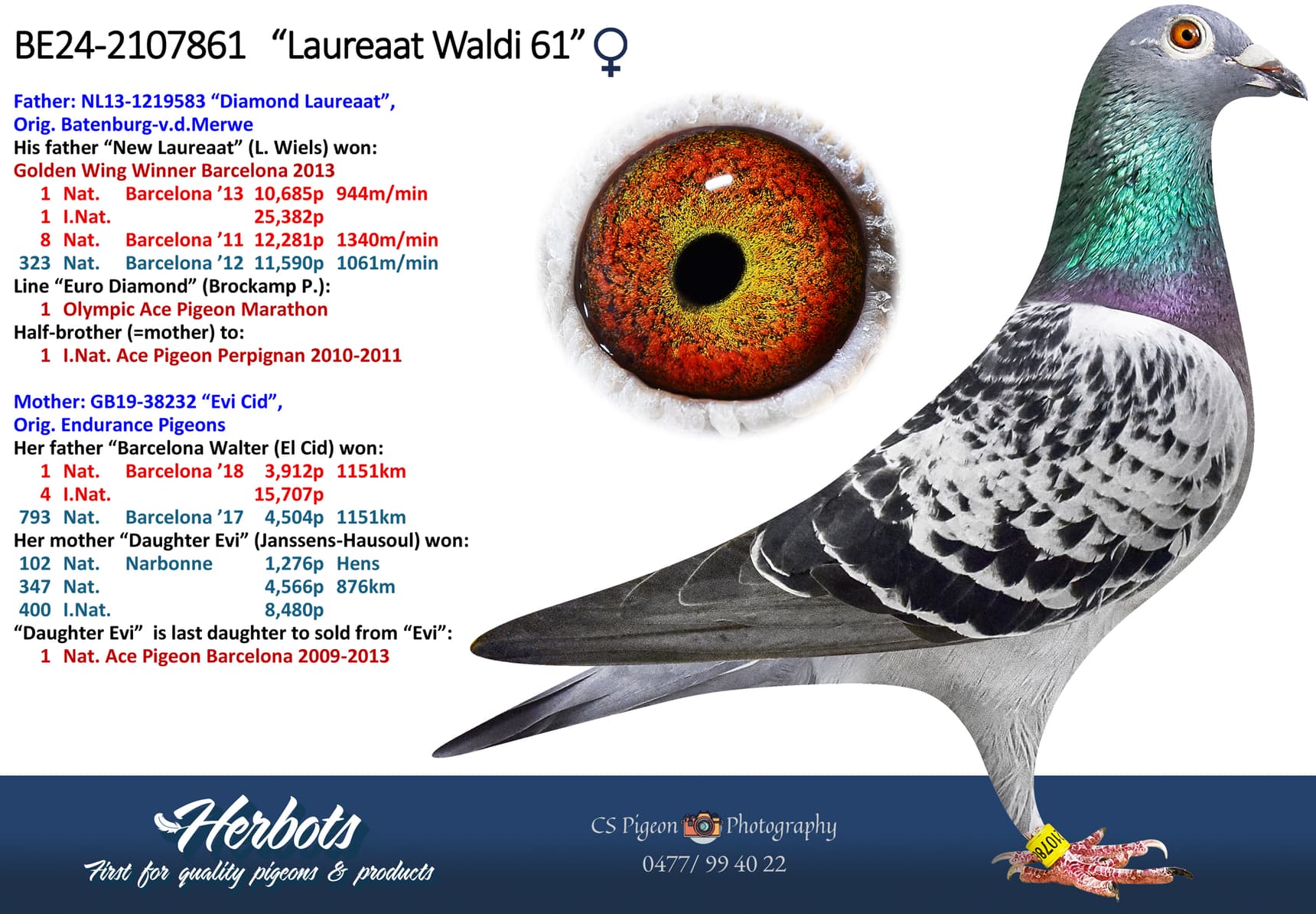 ‘Laureaat Waldi 61’