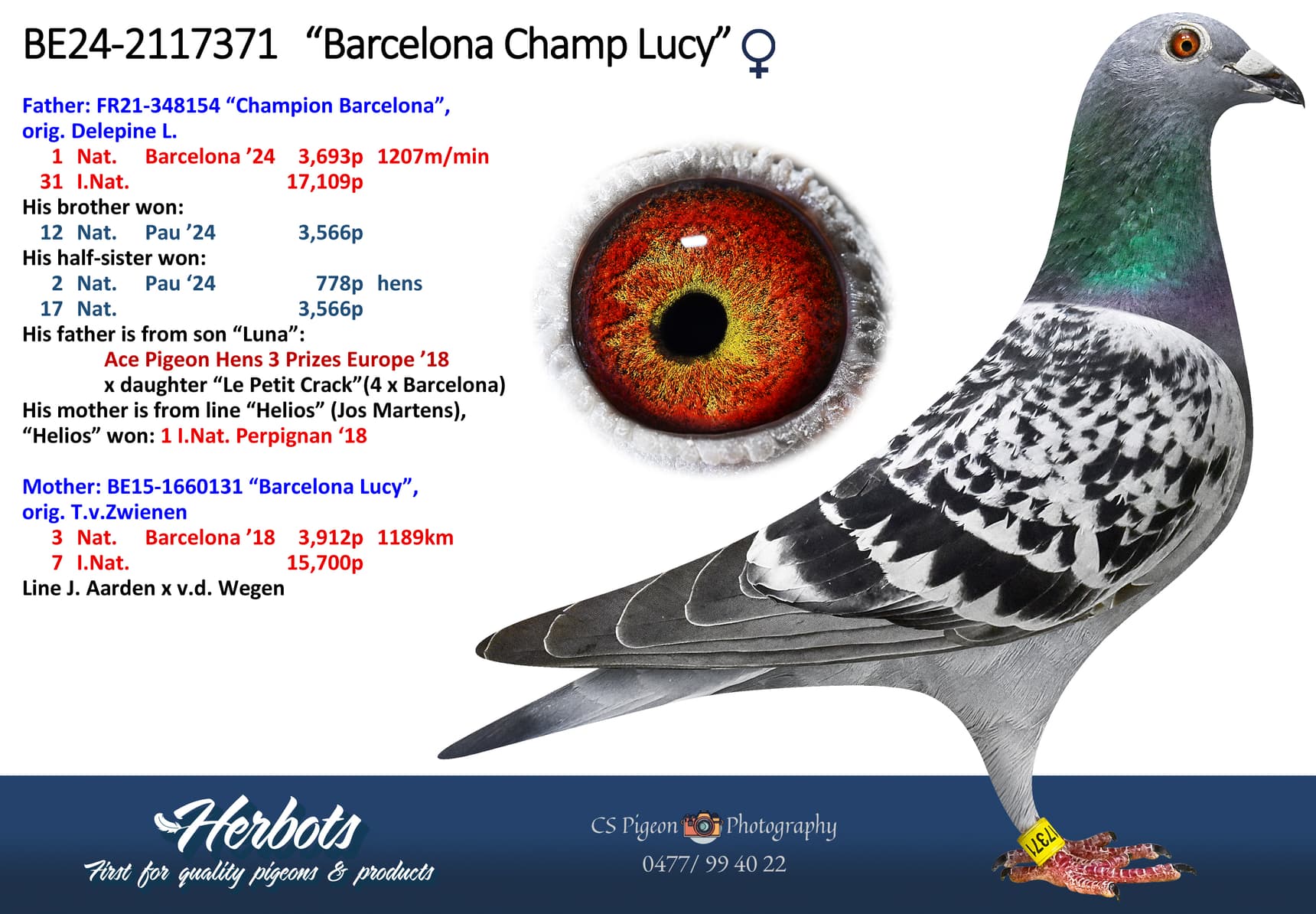 ‘Barcelona Champ Lucy’