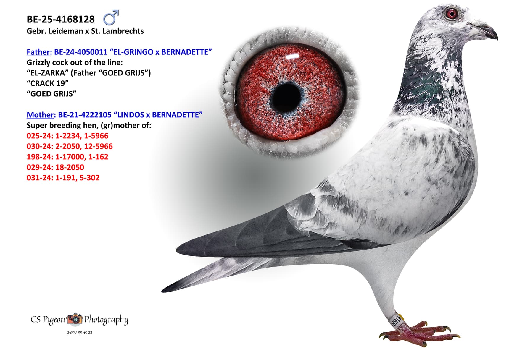 ‘Grizzly Sleeper’