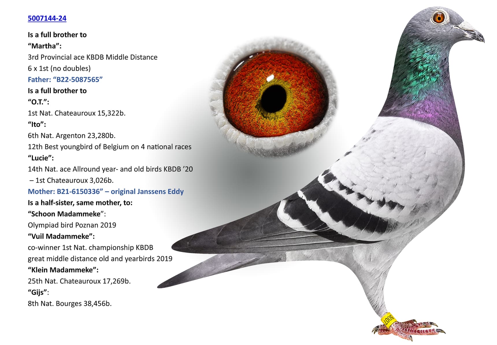 Brother 3 Prov Ace KBDB MD